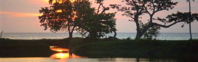 espanhol em San Ramón com Language International